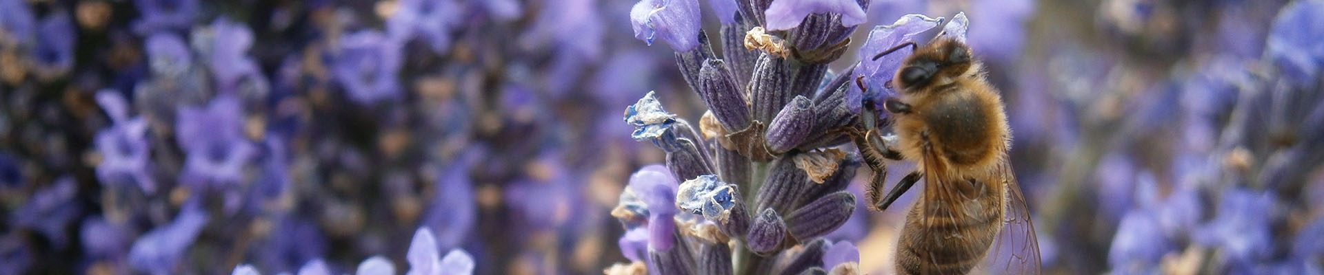 Slider visuel&nbsp;4