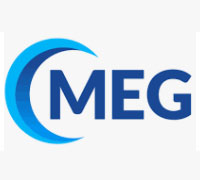 MEG