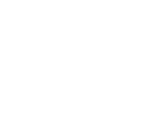 MGF Audit