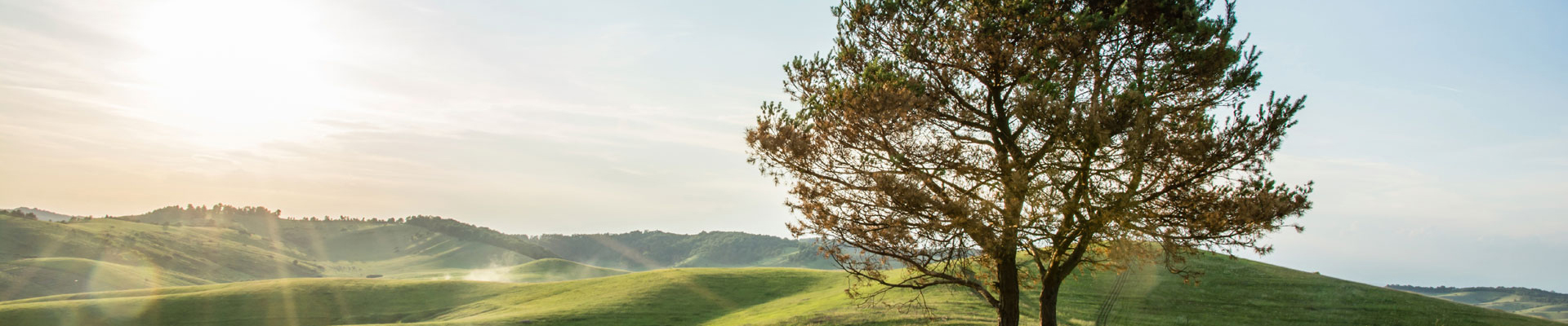 Slider visuel&nbsp;3