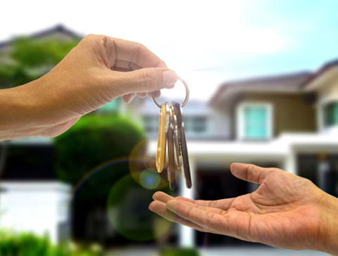 Activit� visuel&nbsp;6