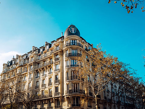 Activit� visuel&nbsp;5